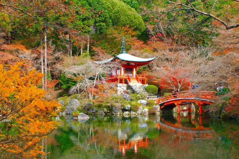 Kinh nghiệm du lịch Nhật Bản mùa lá đỏ